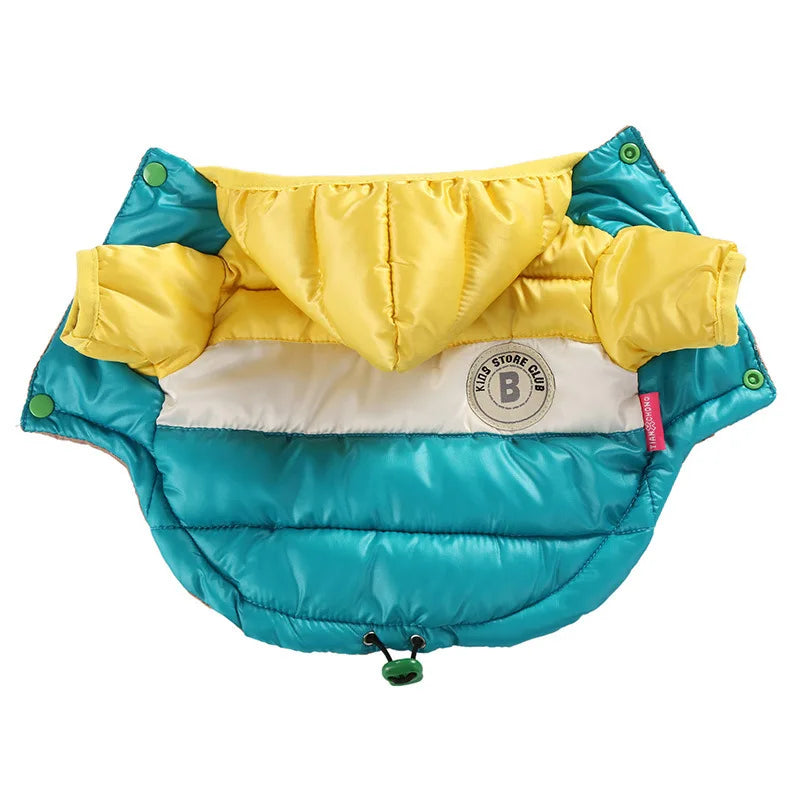 Blue and yellow puffer dog coat with a visible brand logo on a white background