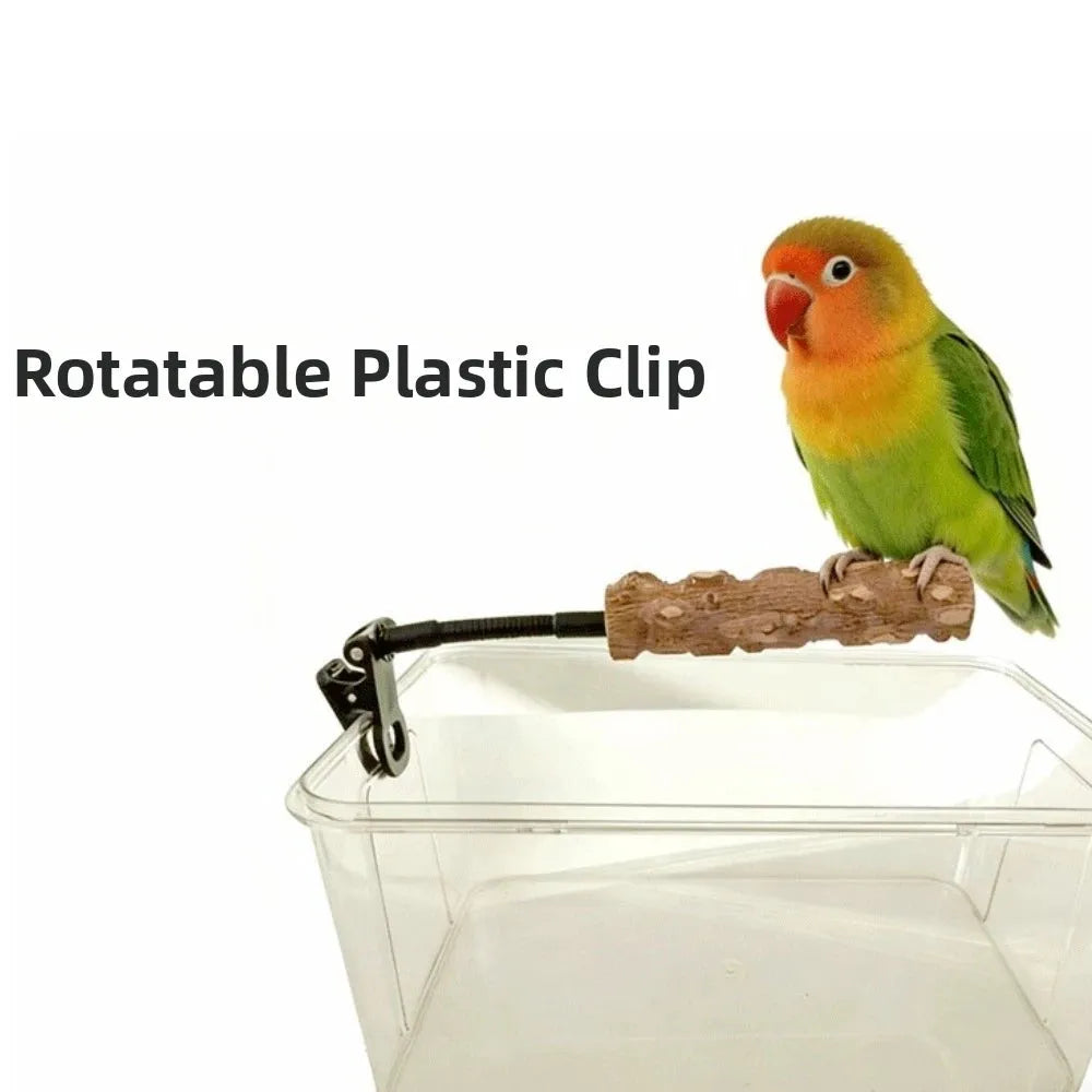 A green and orange lovebird perched on a brown wooden perch attached to a black metal clip mounted on a clear plastic bin. Text on the left reads 'Rotatable Plastic Clip'.
