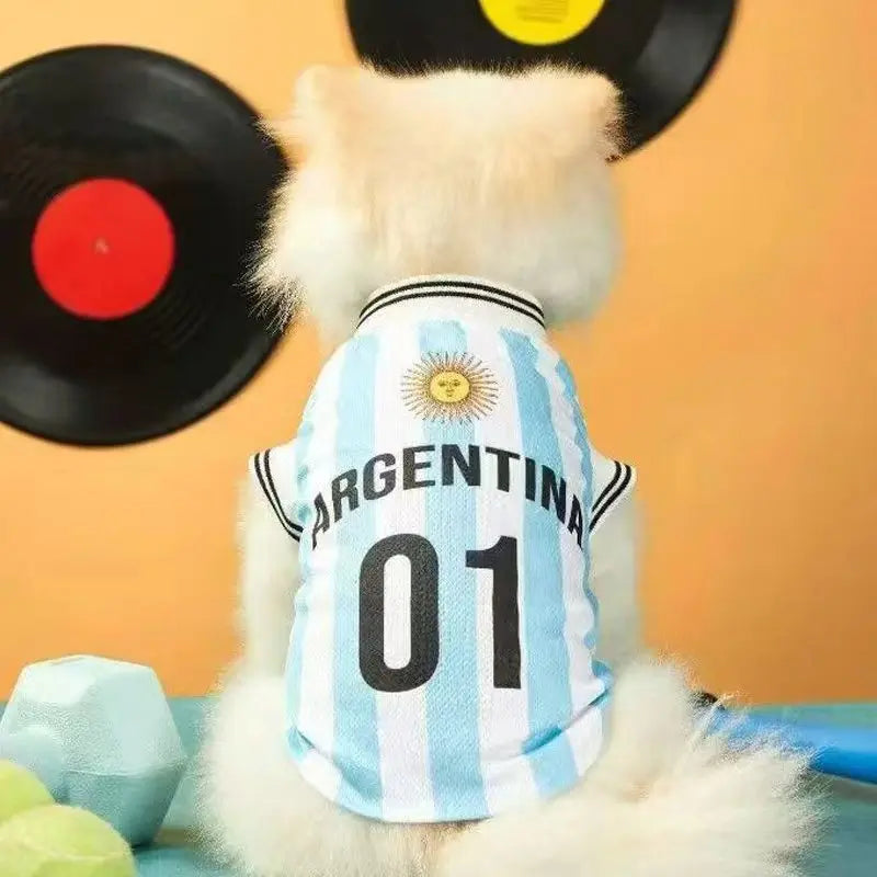 Dog wearing an Argentina-themed shirt with vinyl records and crystals in the background