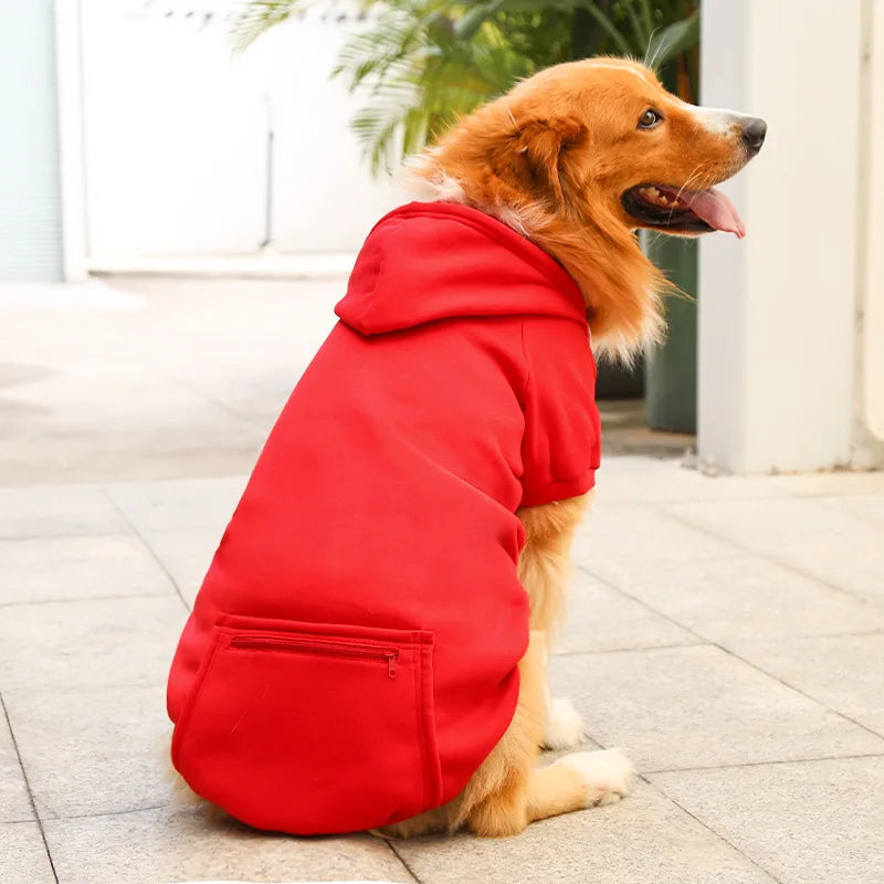 Dog wearing a red hoodie sitting on a wooden floor.