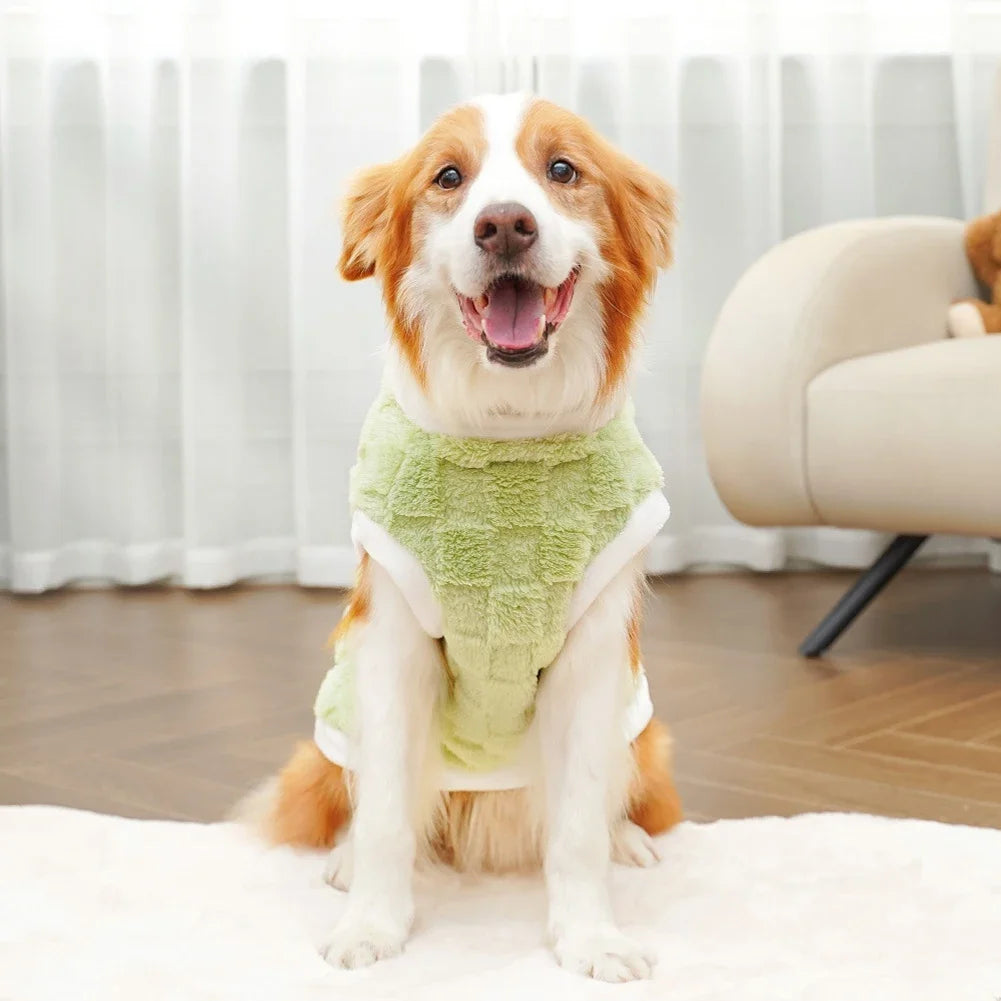 Dog wearing a green sweater sitting on a white surface with a blurred background