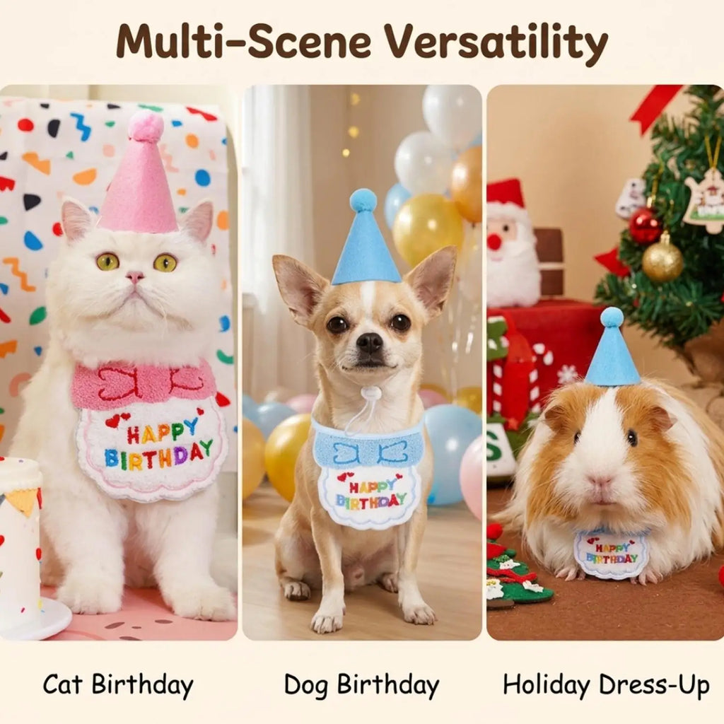 Three-panel collage showing pets wearing matching birthday and holiday dress-up outfits. Left panel: a white cat in a pink party hat and bib with 'Happy Birthday' text.