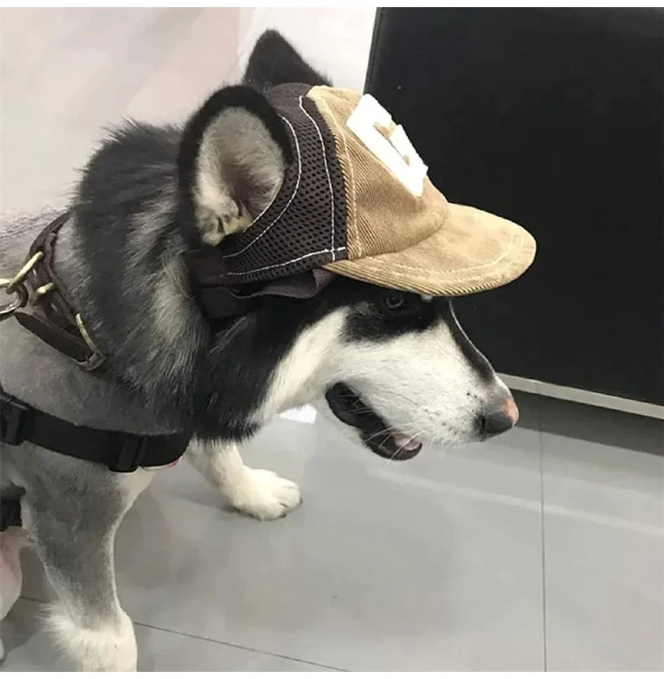 Dog wearing a baseball cap with a black and white background