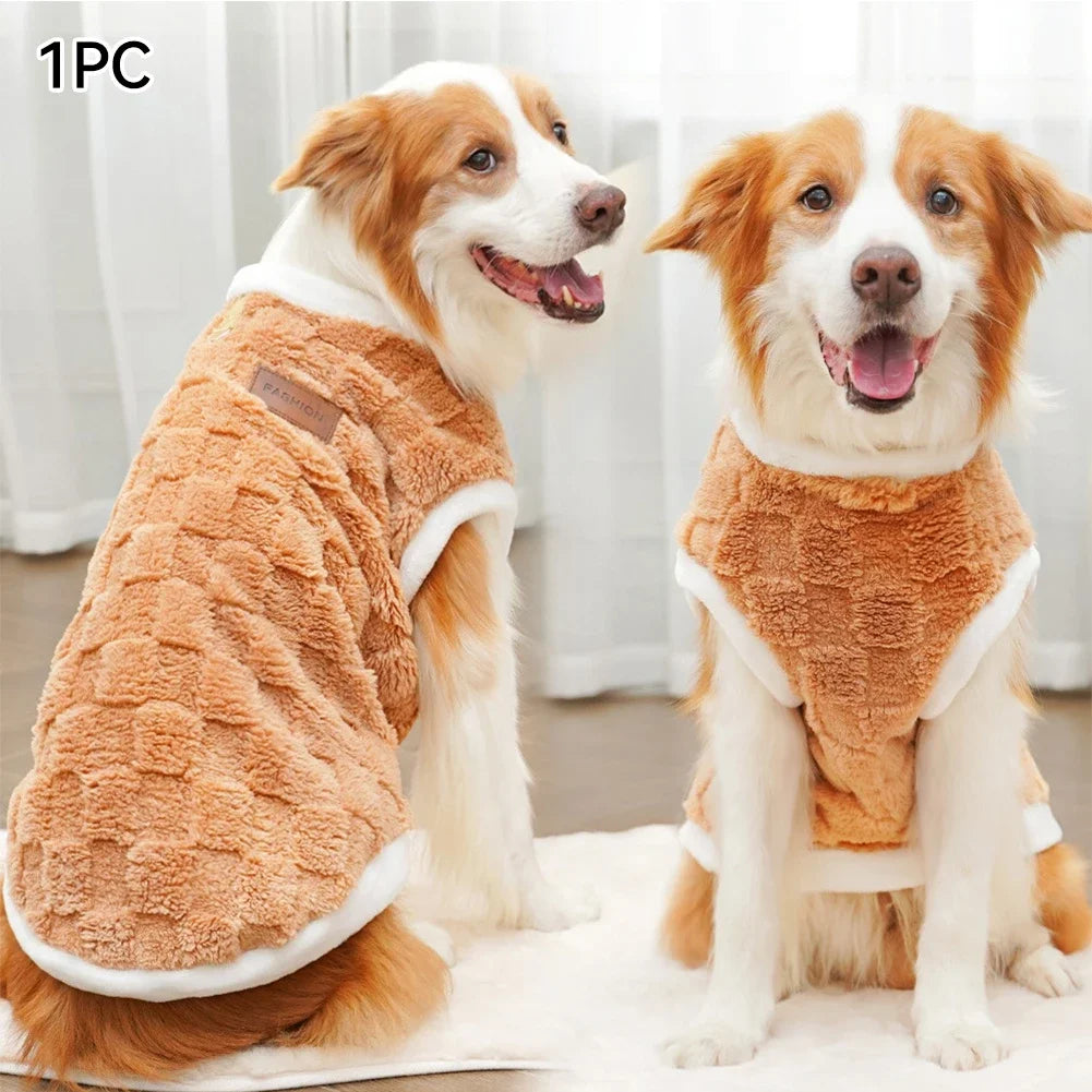 Two dogs wearing matching brown and white outfits sitting side by side.