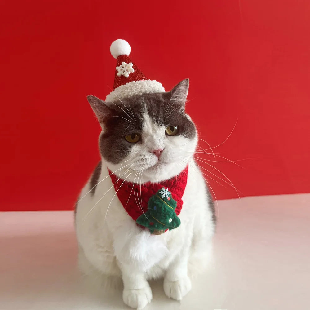 A gray and white cat wearing a red Santa hat with a white pom-pom and a red knitted scarf with a green Christmas tree ornament, posed against a solid red background.