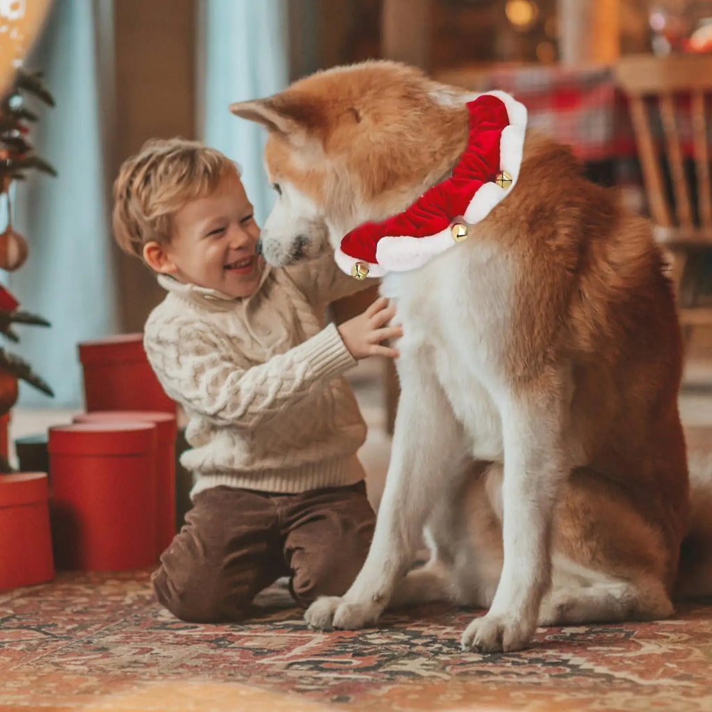 Christmas Dog Collar – Pet Cat Festive Neckwear, Stretchable Christmas Pet Collar with Bell for Hiking, Training, Outdoors & Indoors
