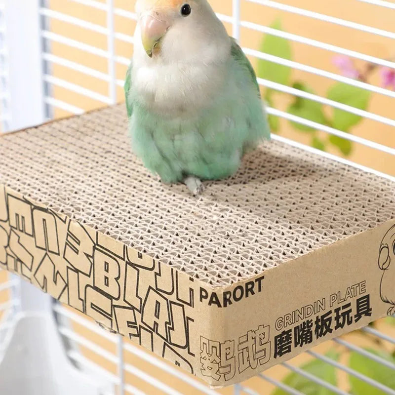 Green parrot perched on a cardboard perch with 'Parrot' branding.