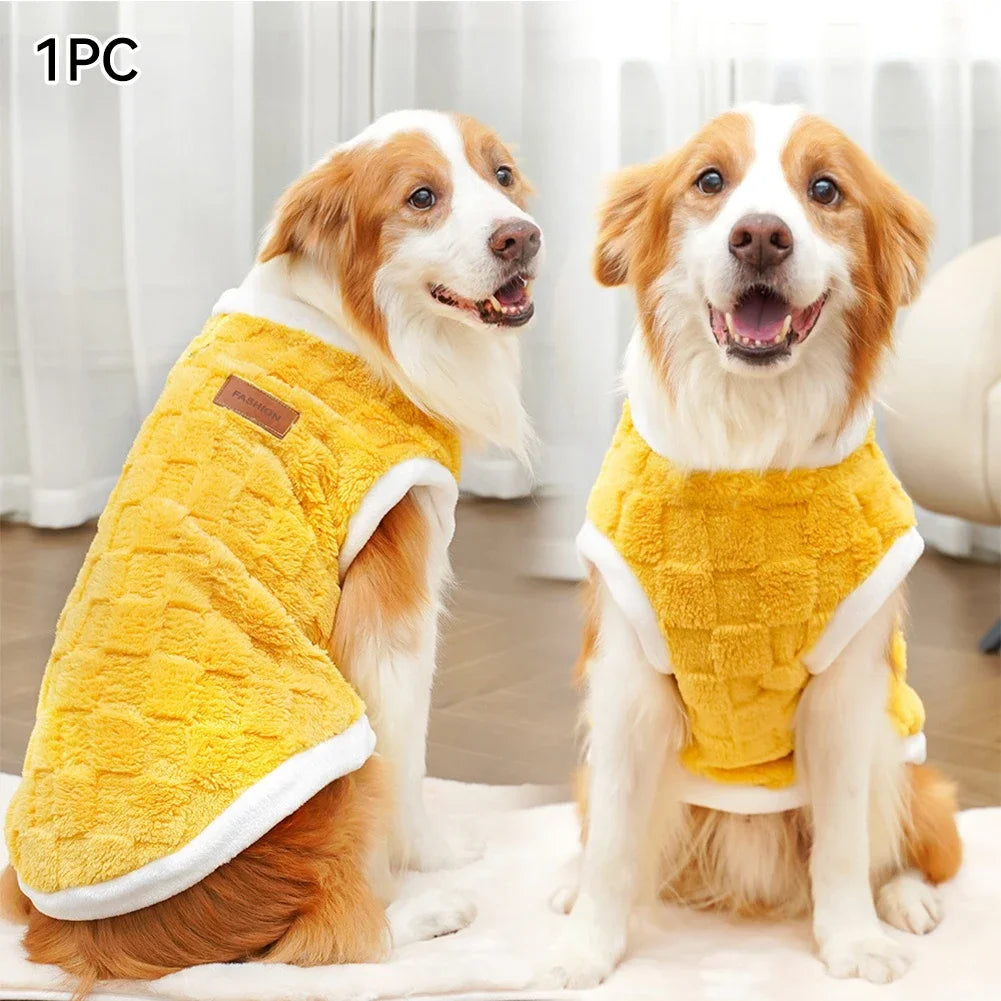 Two dogs wearing yellow coats sitting on a light-colored floor.