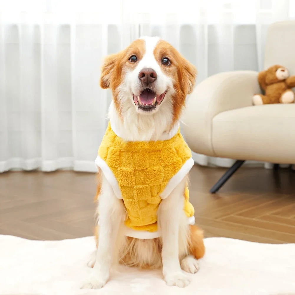 Dog wearing a yellow outfit sitting on a white surface with a blurred background