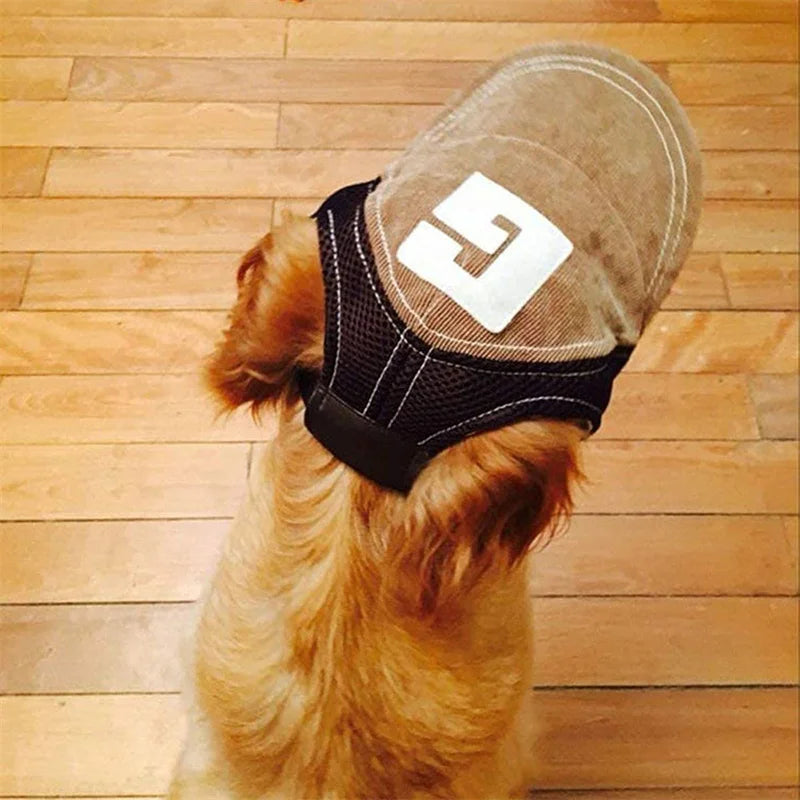 Dog wearing a denim-style muzzle on a wooden floor