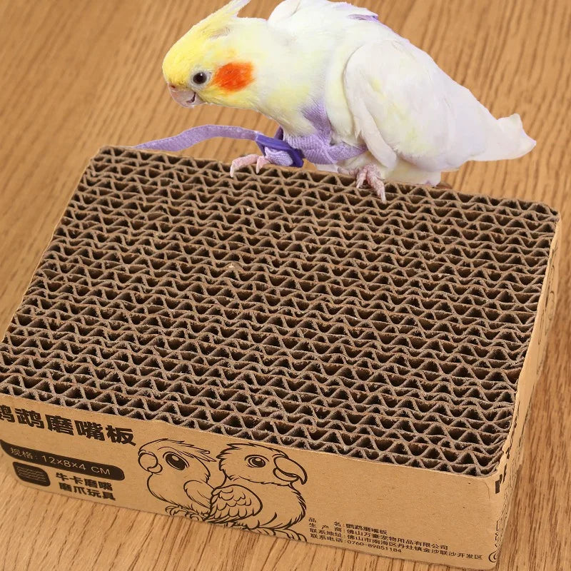 Bird perched on a cardboard box with wavy texture on a wooden surface