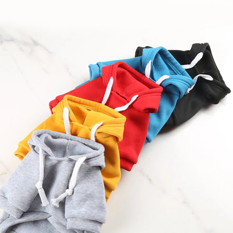 Five colorful hoodies (gray, yellow, red, blue, black) arranged on a white background.