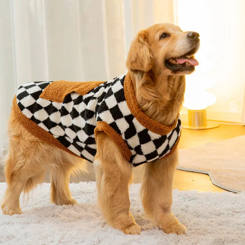 Dog wearing a checkered sweater with brown trim on a light background