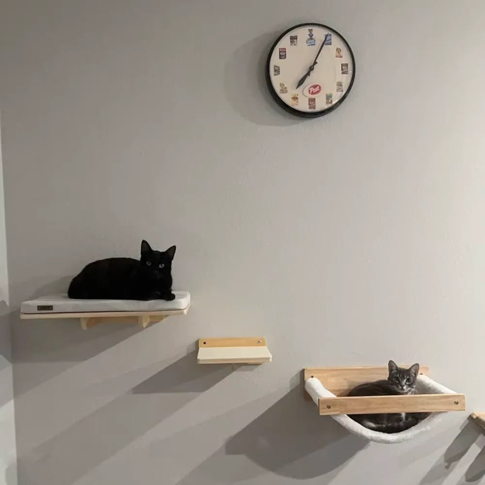 Two cats on wall-mounted cat shelves with a clock above on a gray wall.