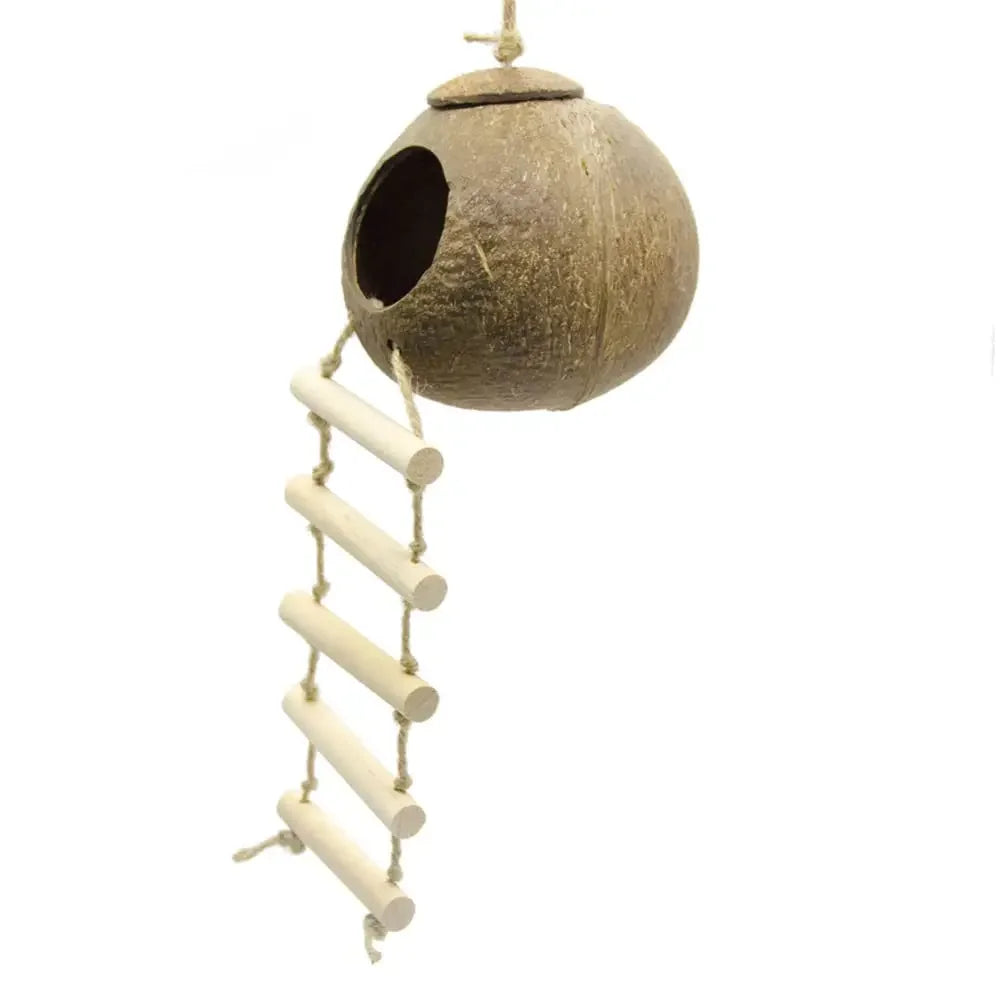 Coconut shell bird house with a ladder on a white background