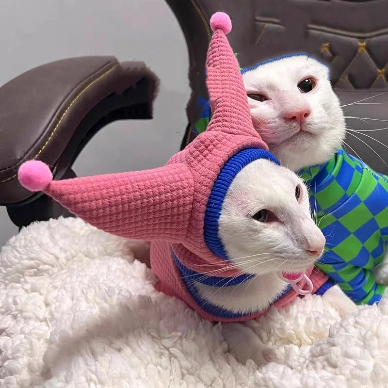 Two white cats wearing colorful hats and sweaters on a fluffy surface.