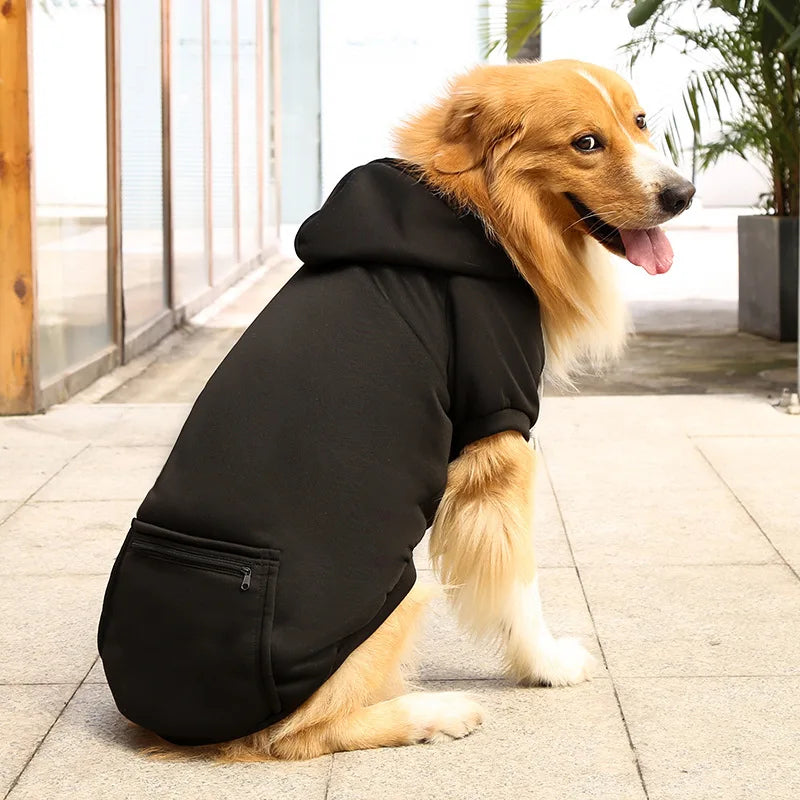 Dog wearing a black hoodie sitting on a pavement.
