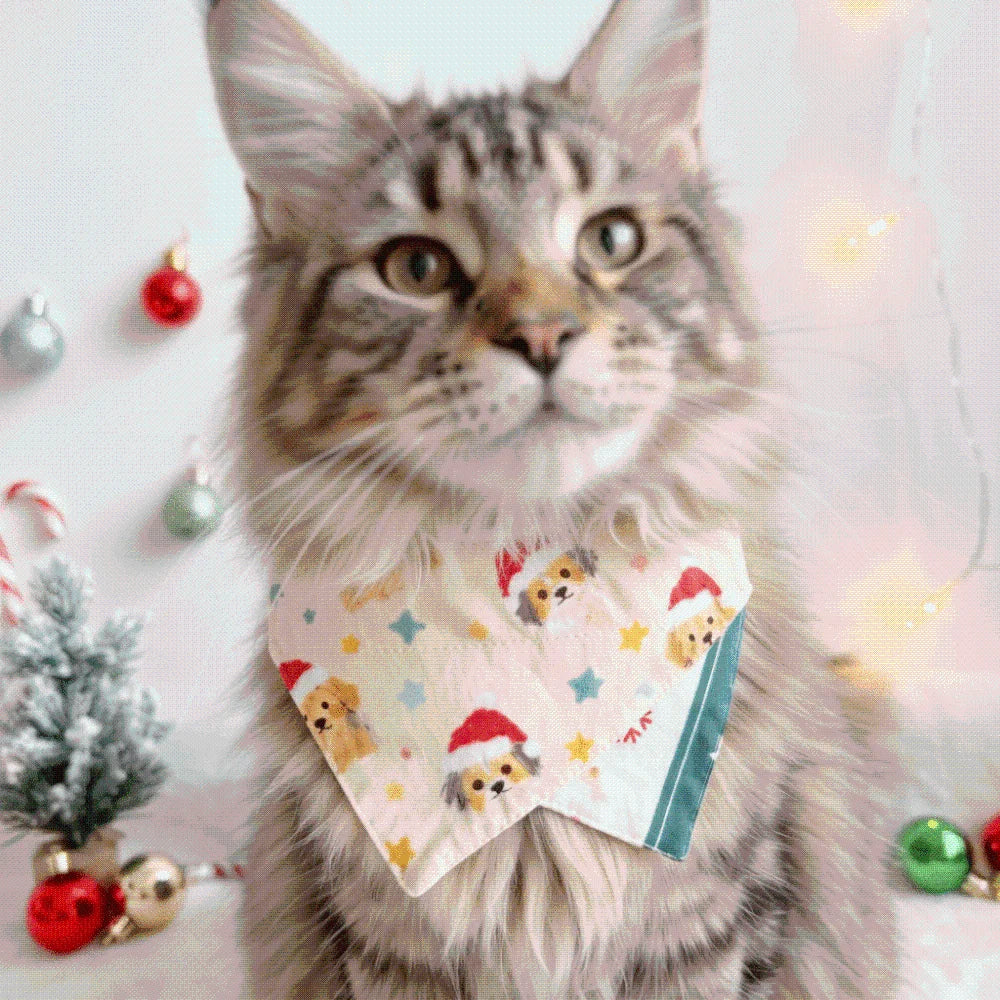 Christmas Pet Bandana – Soft & Adjustable Red Green Triangle Scarf for Dogs & Cats, Washable Saliva Towel & Holiday Neckwear