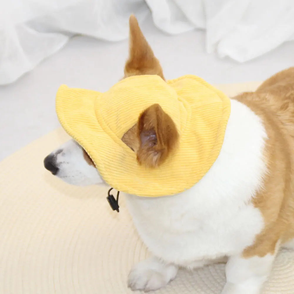 Dog wearing a yellow hat on a light-colored blanket