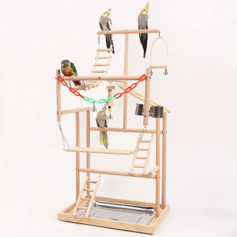 Bird playstand with multiple birds on a white background