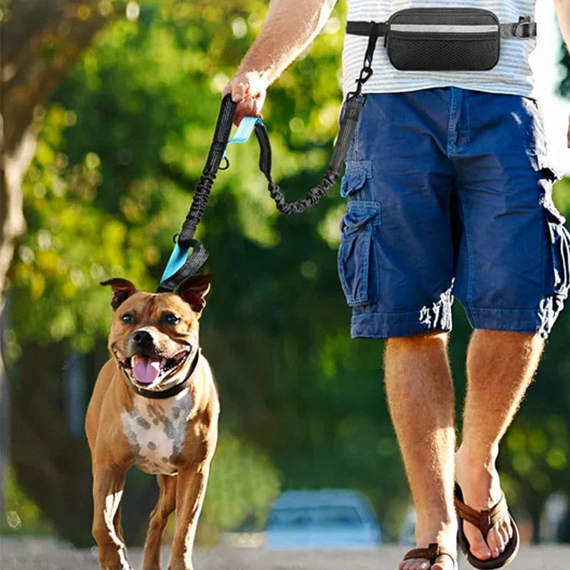 Upgrade Your Adventures with the Hands-Free Dog Running Waist Bag!