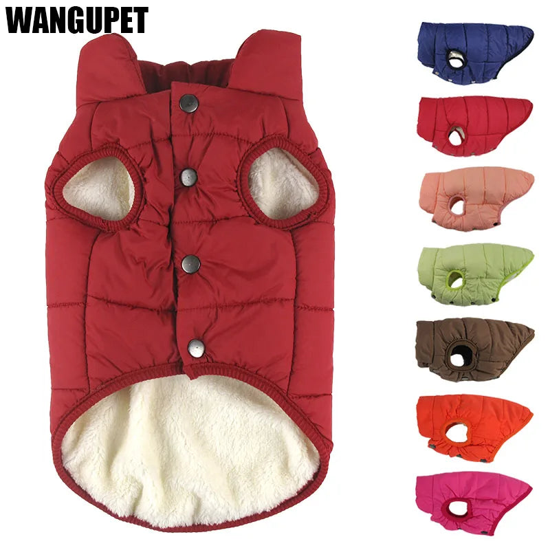 Red dog coat with multiple color options displayed below on a white background, featuring the brand 'WANGUPET'.