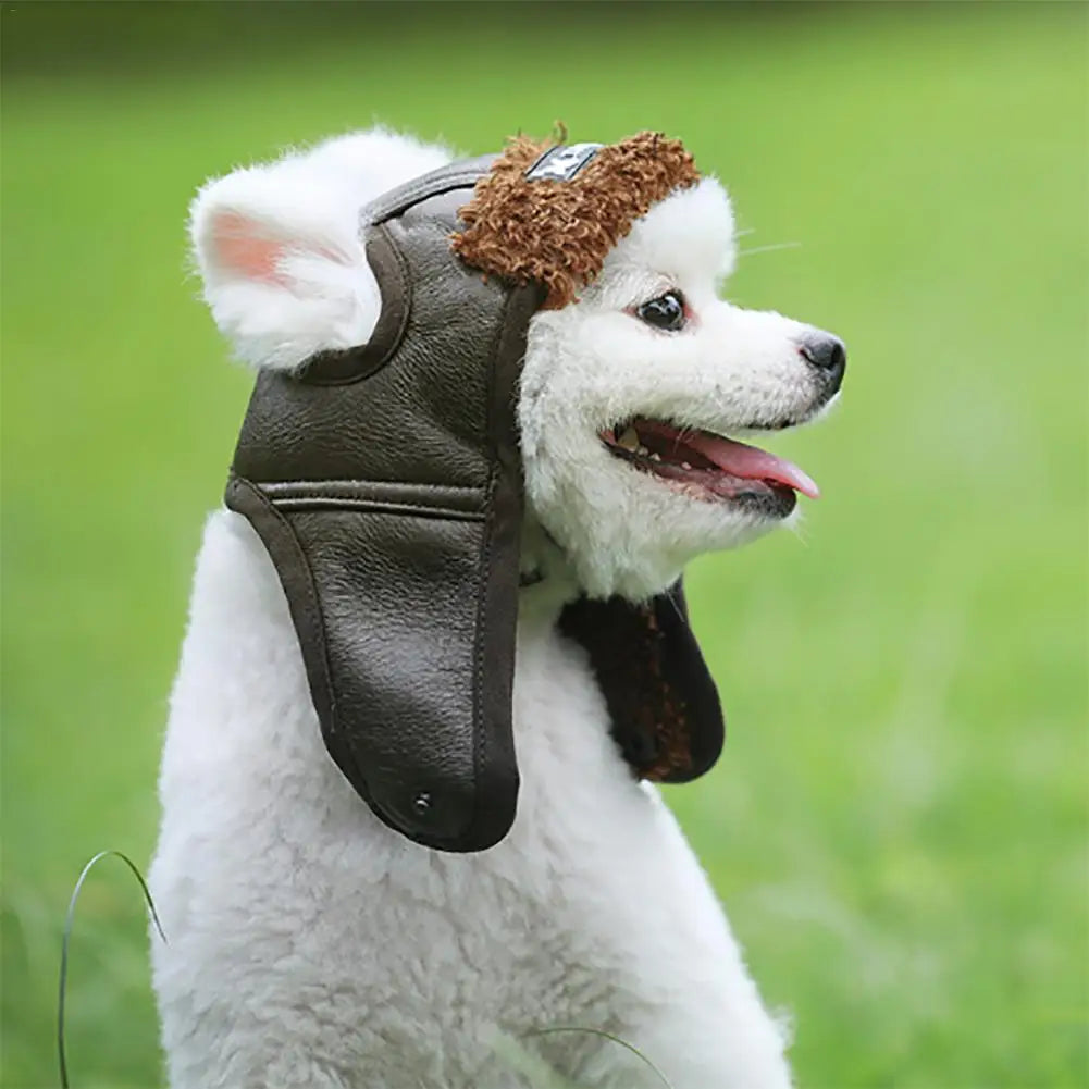 White dog wearing a brown leather helmet with goggles in a grassy field