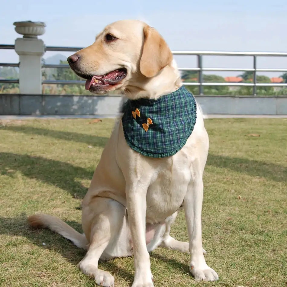 Adjustable Plaid Pet Bandana - Washable Dog & Cat Scarf for Small to XL Breeds