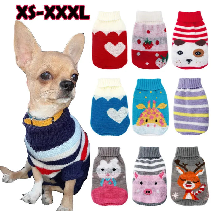 Small dog wearing a striped sweater with various small sweaters displayed above on a white background.
