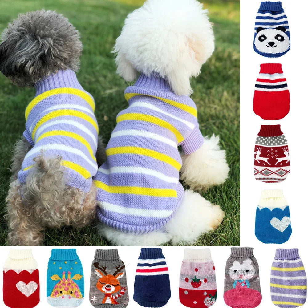 Two dogs wearing striped sweaters with a collage of various dog sweaters in different designs.