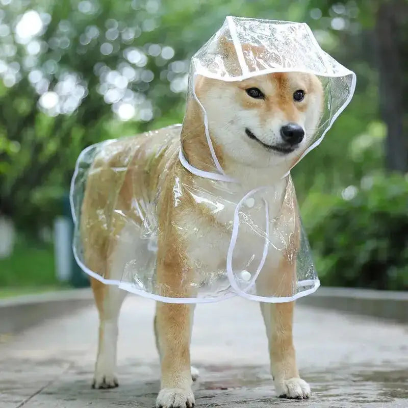 Transparent Pet Raincoat - Waterproof Hooded Jacket for Small Dogs & Puppies - Soft Nylon Rainwear