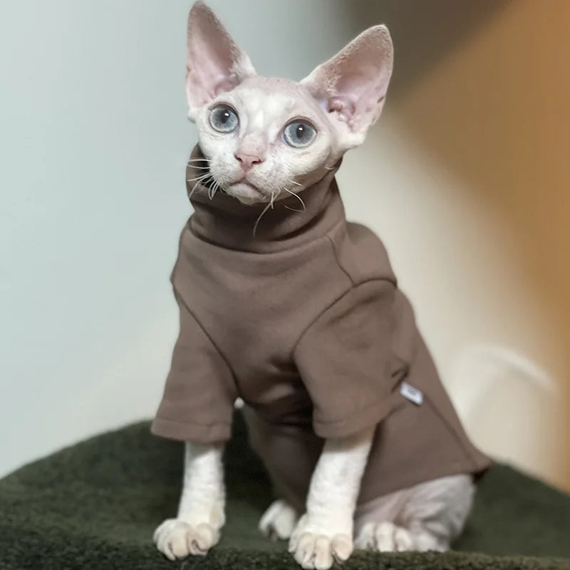 Cat wearing a brown outfit sitting on a green surface with a neutral background