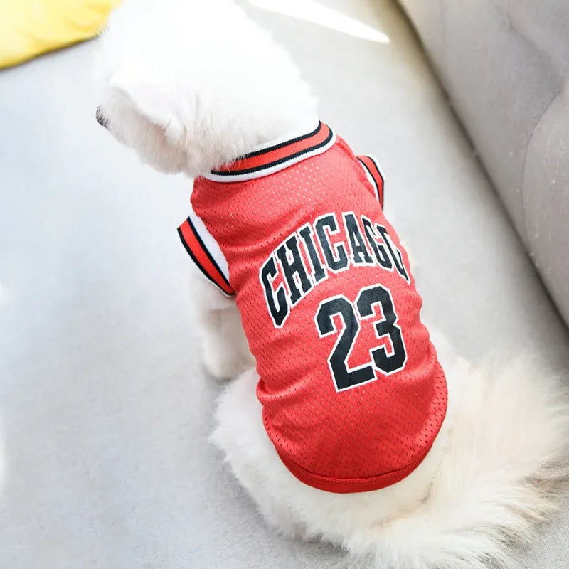 Dog wearing a red 'Chicago' jersey with the number 23 on a light background