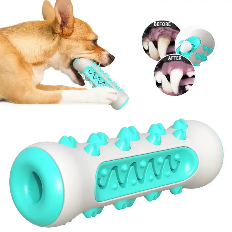Vet-Approved Dental Chew Toy: Teeth Cleaning Molar Brush for Puppies & Dogs