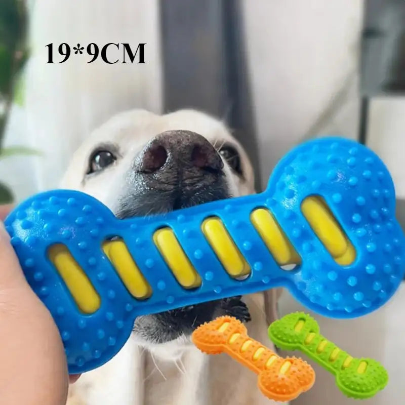 Durable Dental Chew Bone for Puppies & Dogs - Teeth Cleaning Rubber Toy