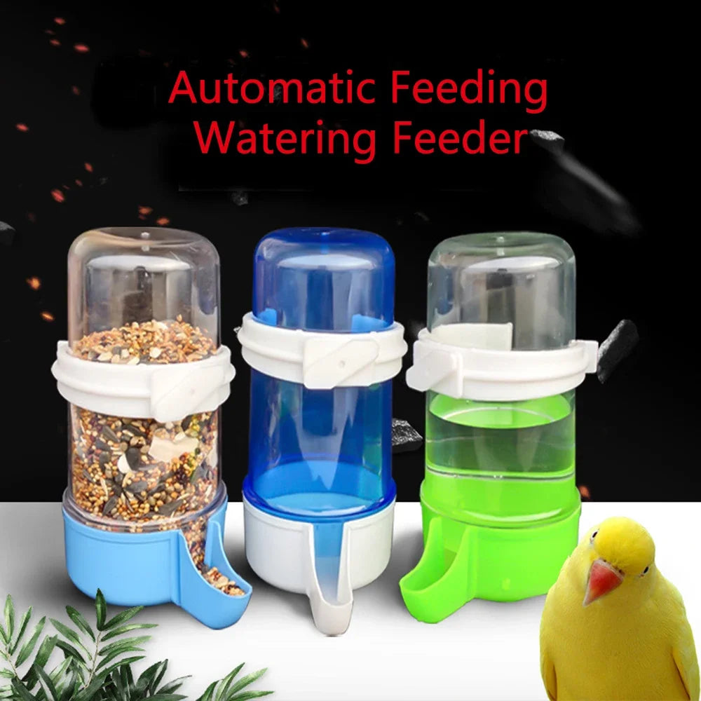 Three automatic feeding and watering feeders in blue, green, and clear with a parrot on a white background.