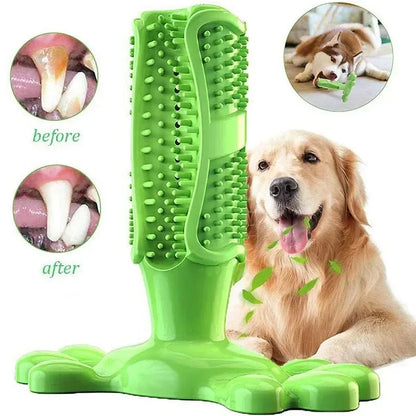 Cactus Dental Chew Toy: Self-Cleaning Toothbrush & Treat Dispenser for All Dogs
