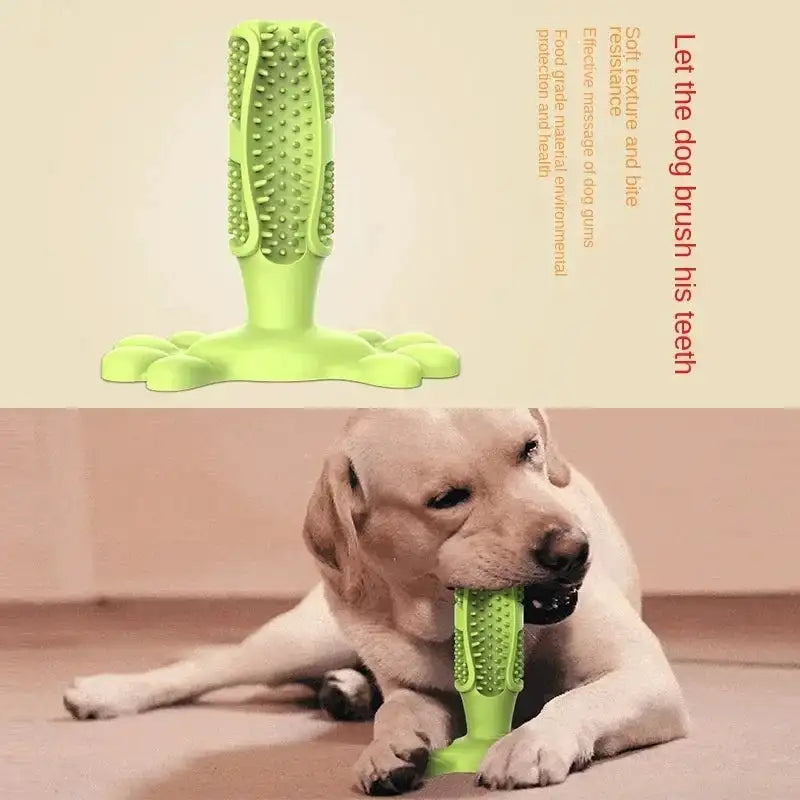 Cactus Dental Chew Toy: Self-Cleaning Toothbrush & Treat Dispenser for All Dogs