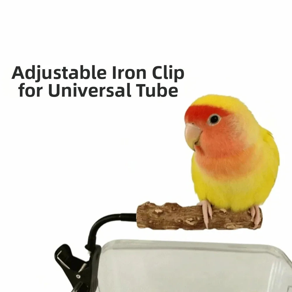 A small yellow and peach lovebird perched on a branch attached to an adjustable iron clip, with text reading 'Adjustable Iron Clip for Universal Tube' on a white background.