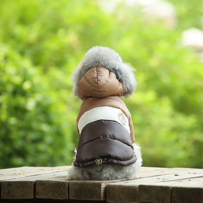 Dog wearing a brown and gray coat with fur trim, sitting on a wooden surface with a blurred green background.
