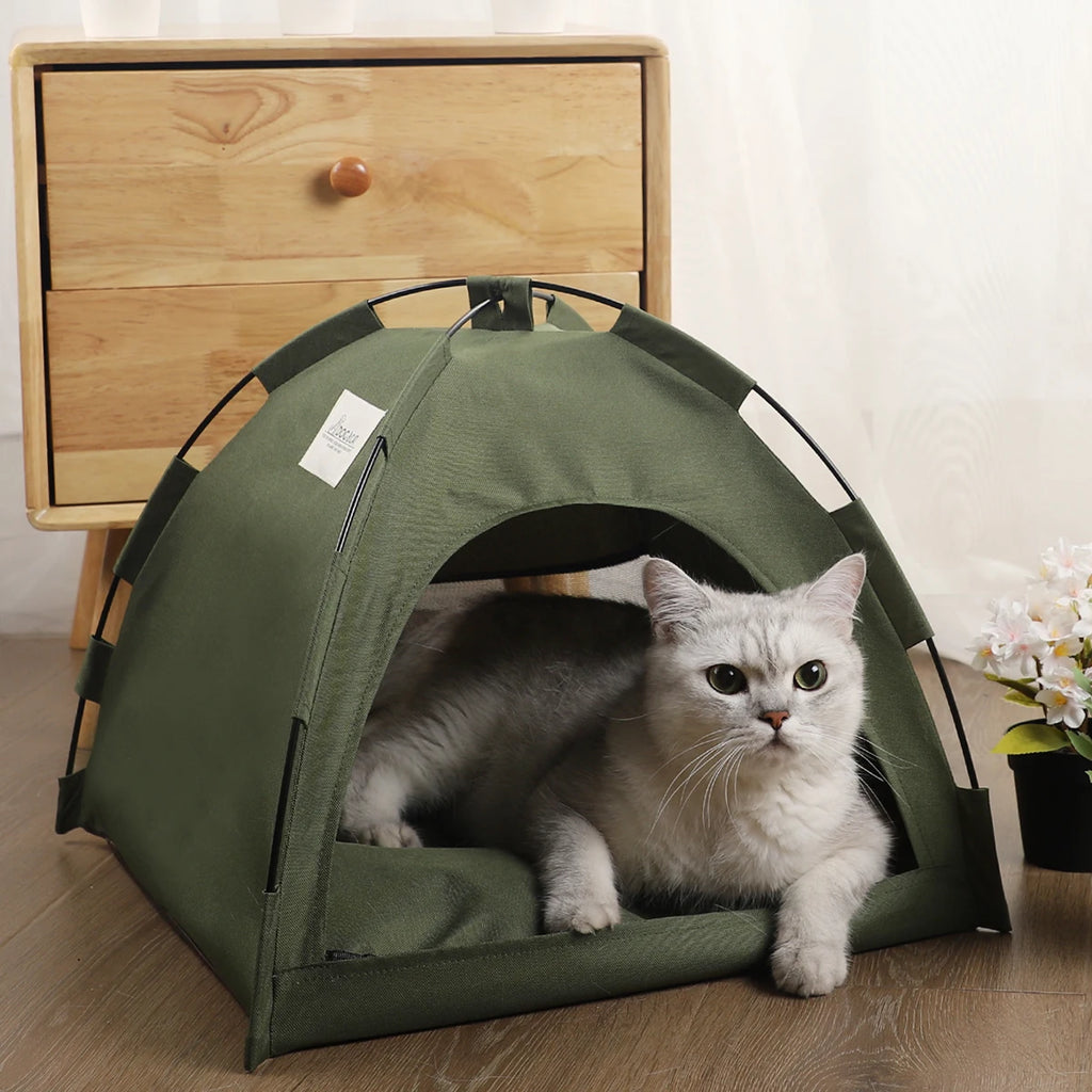 An olive green cat tent with a white cat lying inside, set on a wooden floor in front of a wooden cabinet.