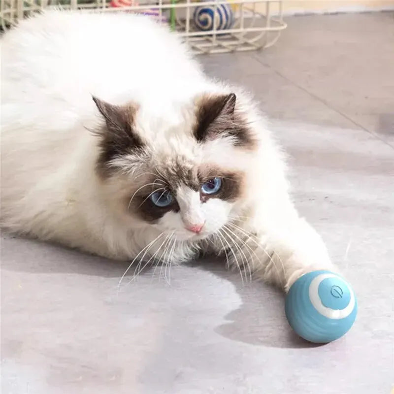 Interactive Electric Cat Ball – Self-Moving Magic Toy for Engaging Playtime and Training!