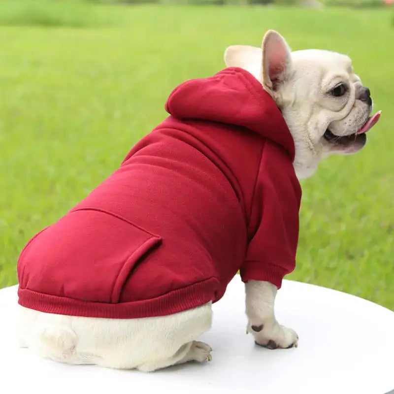 Fashion Dog Clothing – Thickened Warm Hooded Sweater for Small Pets – Autumn & Winter Solid Color Casual Wear!