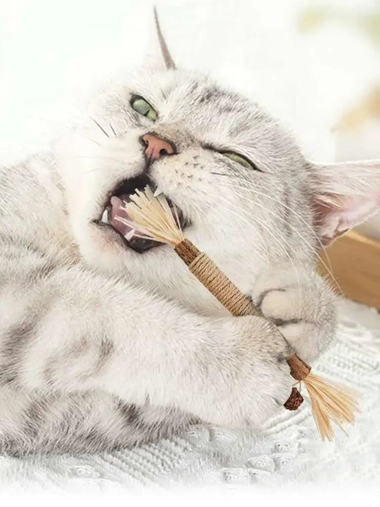 22cm Silvervine & Catnip Dental Chew Stick - Sisal Cat Scratching Toy for Teeth Cleaning & Training