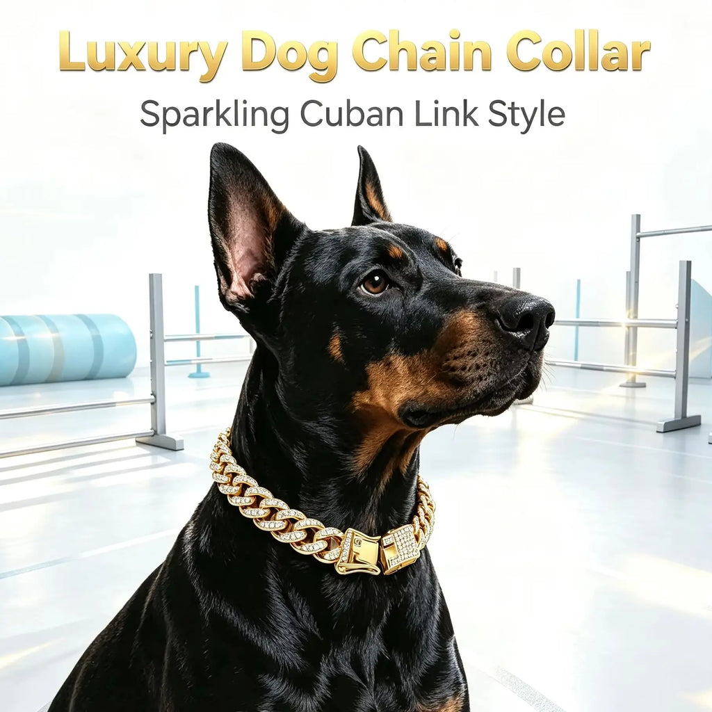 A black and tan Doberman dog wearing a thick gold Cuban link chain collar with rhinestone-like embellishments, photographed in a bright indoor setting with text at the top reading 'Luxury Dog Chain Collar' and 'Sparkling Cuban Link Style'.
