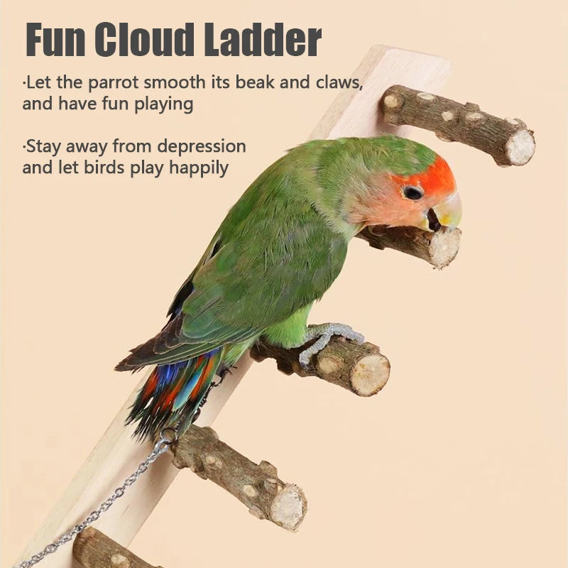 Parrot on a cloud-shaped ladder with text encouraging play and happiness.