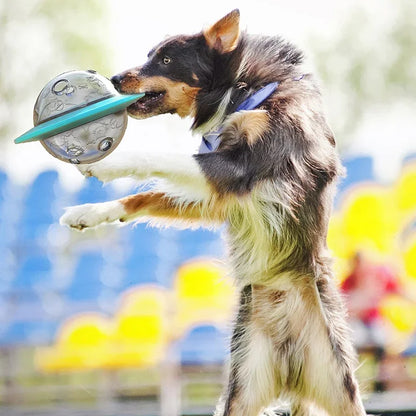 2-in-1 Flying Disc & Slow Feeder Puzzle Toy for Dogs/Cats - IQ Training, Anti-Choke, Durable Chew