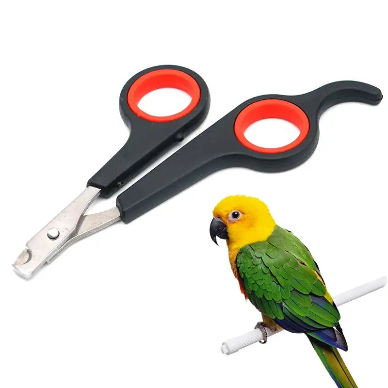 Stainless Steel Bird Nail Clipper - Essential Grooming Tool for Parrots and Small Animals