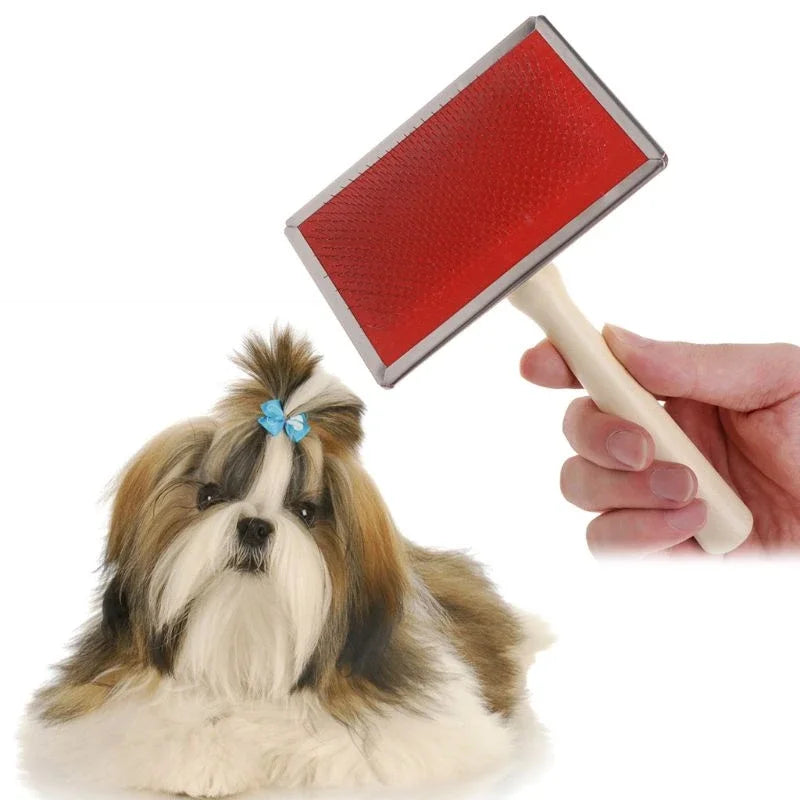 Dog with a red grooming brush held by a hand on a white background