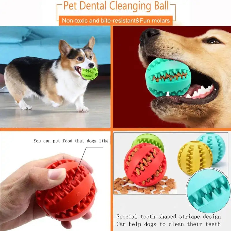 3-in-1 Dental Chew Ball: Teeth Cleaning + Treat Feeder Toy for Dogs/Cats
